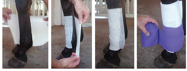 Decron Leg Wrap Poultice How To